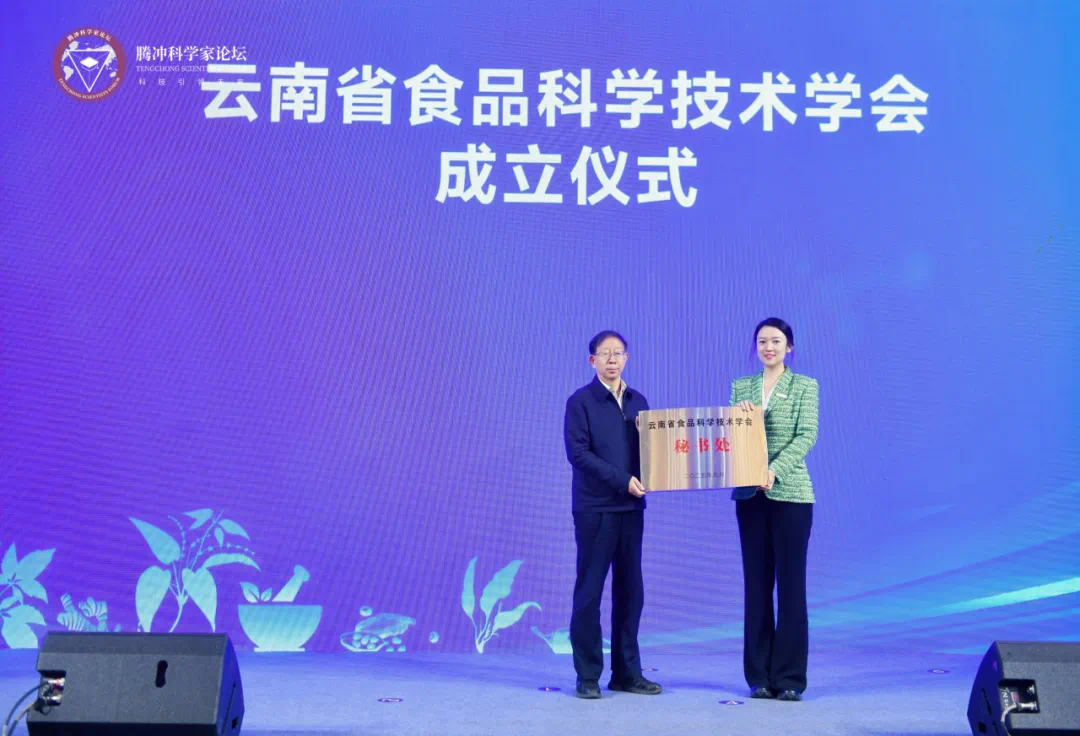 image2.webp